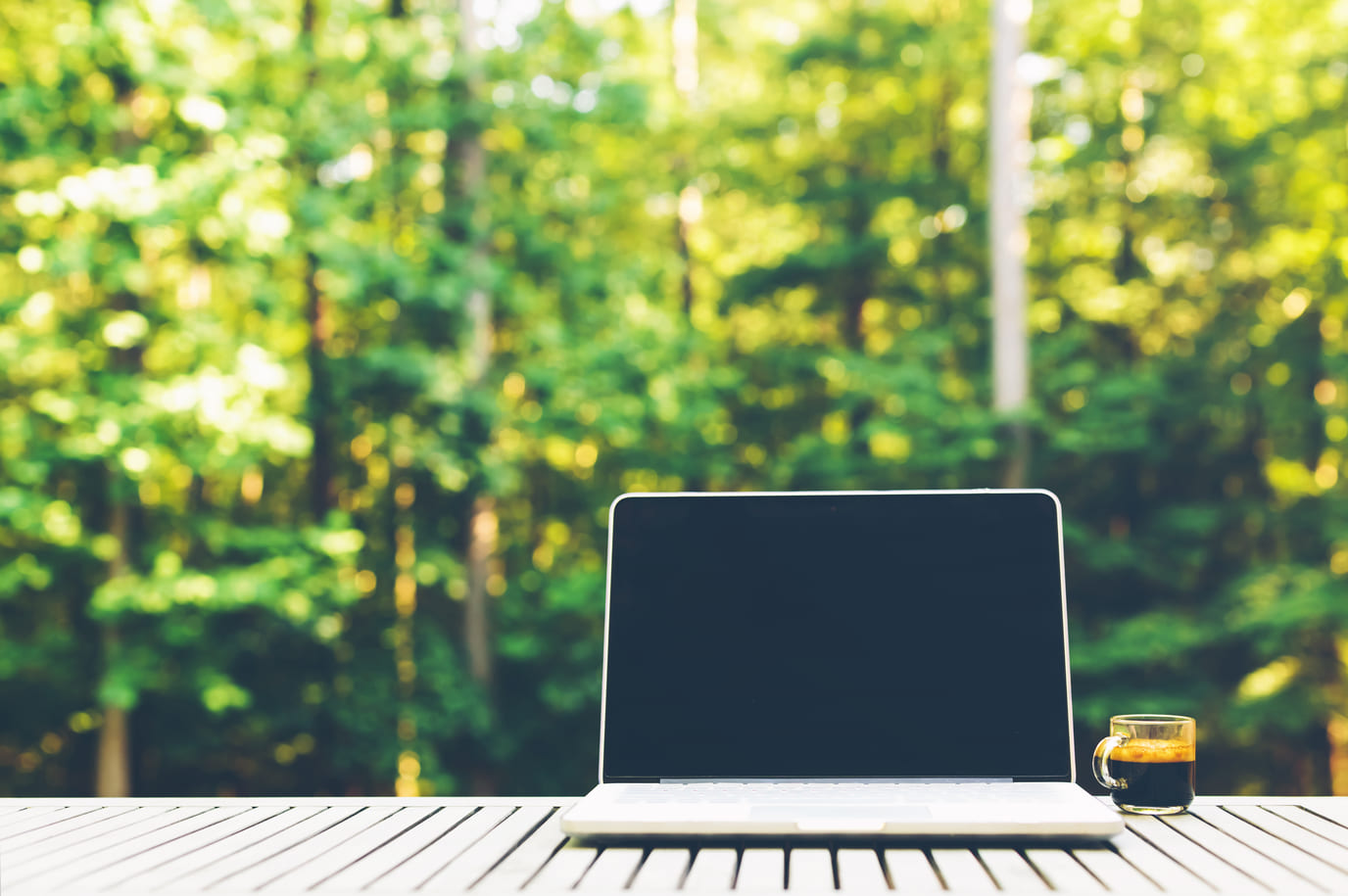 Laptop auf dem Tisch und im Hintergrund ein Wald.