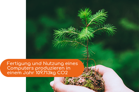 Kleiner Nadelbaum mit Erde wird in händen gehalten.